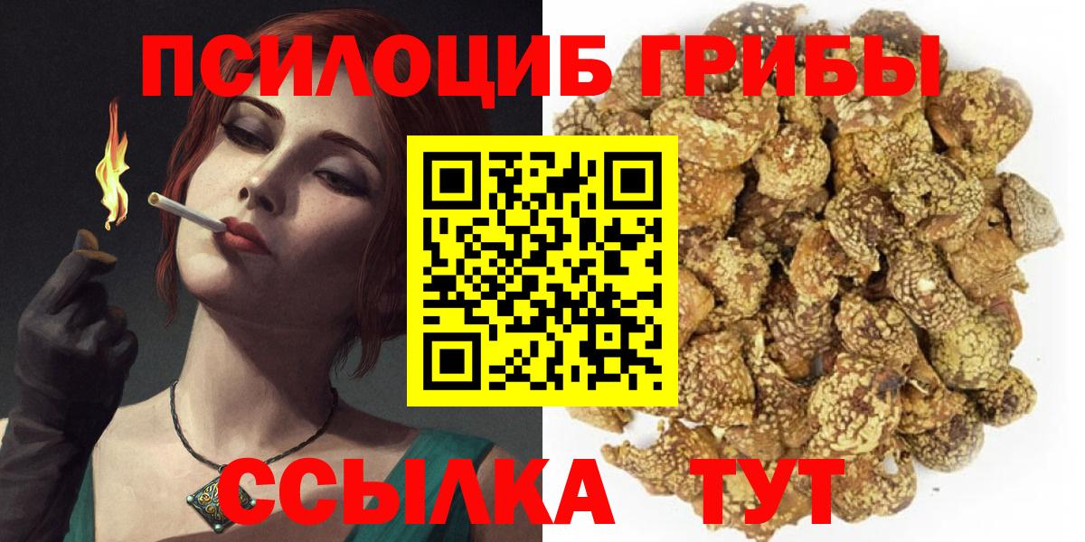 Псилоцибиновые грибы мухоморы Славянск-на-Кубани