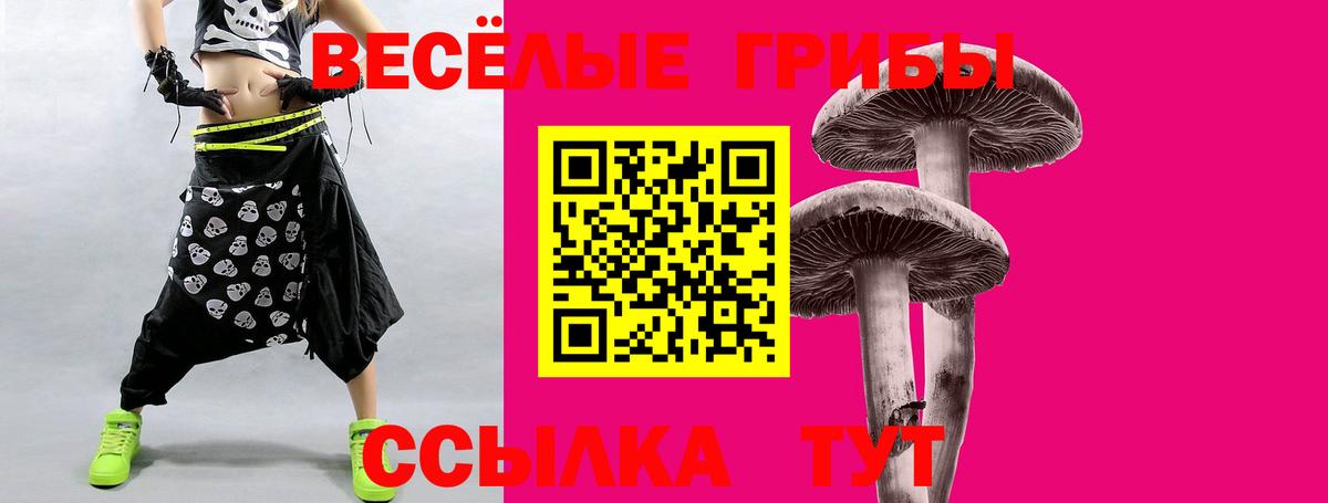 Галлюциногенные грибы ЛСД  Галлюциногенные грибы Magic Shrooms  Славянск-на-Кубани  Вход с VPN 